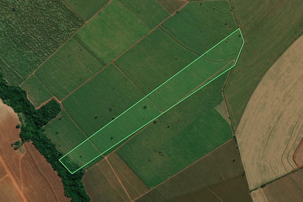 Imagem de satélite do imóvel rural em Campos Novos Paulista (SP), com o contorno declarado no CAR desenhado por cima.