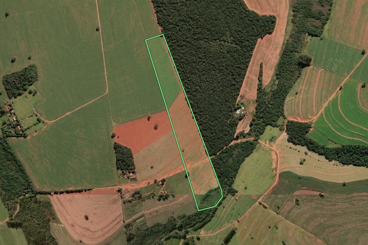 Imagem de satélite do imóvel rural em Campos Novos Paulista (SP), com o contorno declarado no CAR desenhado por cima.