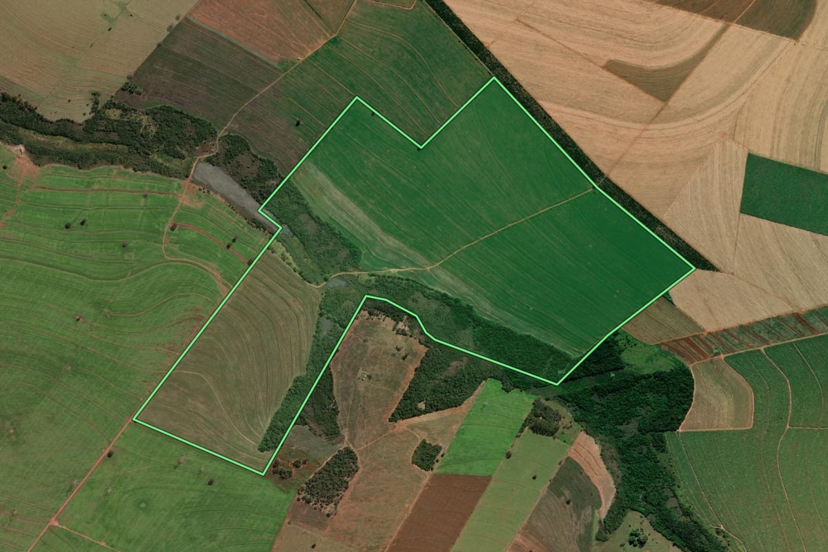 Imagem de satélite do imóvel rural em Campos Novos Paulista (SP), com o contorno declarado no CAR desenhado por cima.