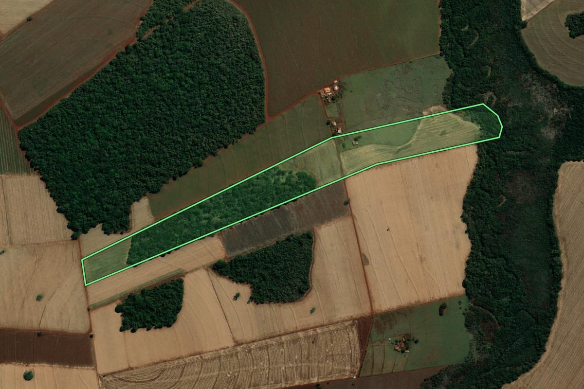 Imagem de satélite do imóvel rural em Campos Novos Paulista (SP), com o contorno declarado no CAR desenhado por cima.