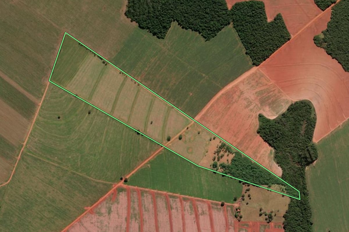 Imagem de satélite do imóvel rural em Campos Novos Paulista (SP), com o contorno declarado no CAR desenhado por cima.