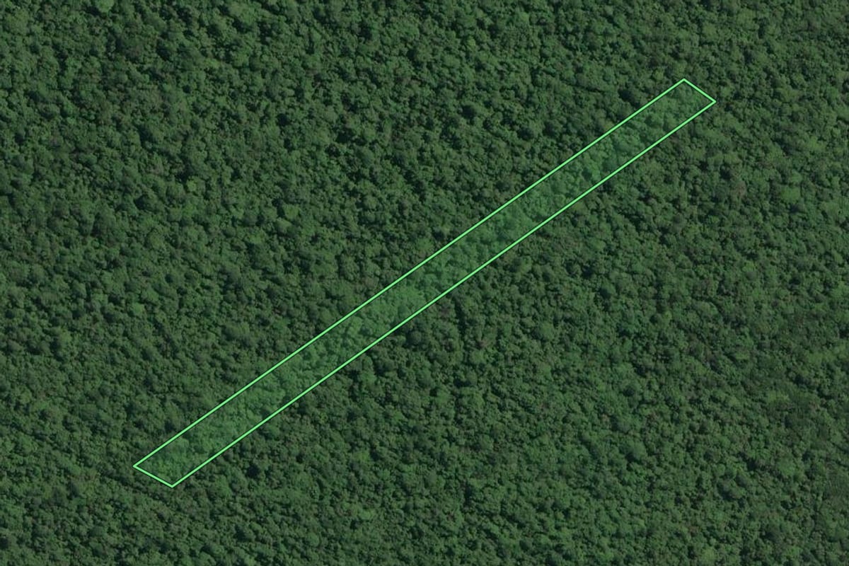 Imagem de satélite do imóvel rural em Cananéia (SP), com o contorno declarado no CAR desenhado por cima.