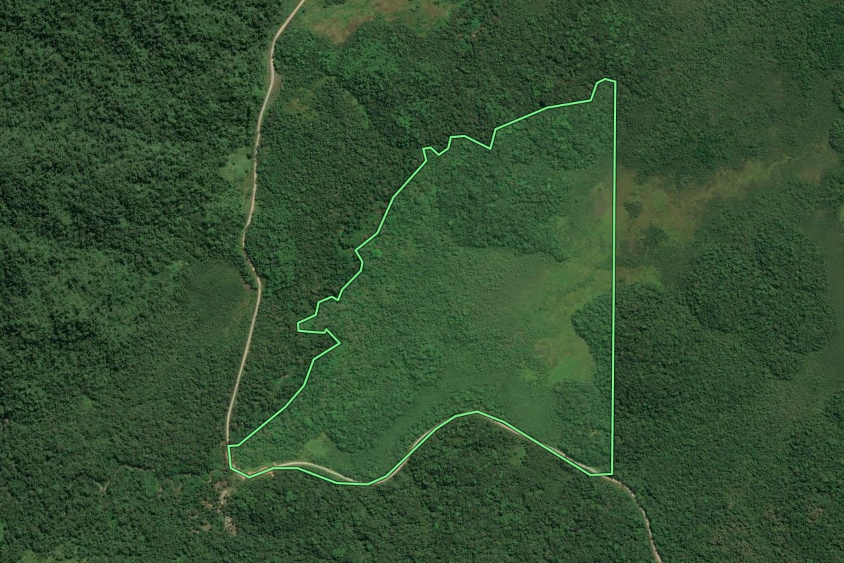 Imagem de satélite do imóvel rural em Cananéia (SP), com o contorno declarado no CAR desenhado por cima.