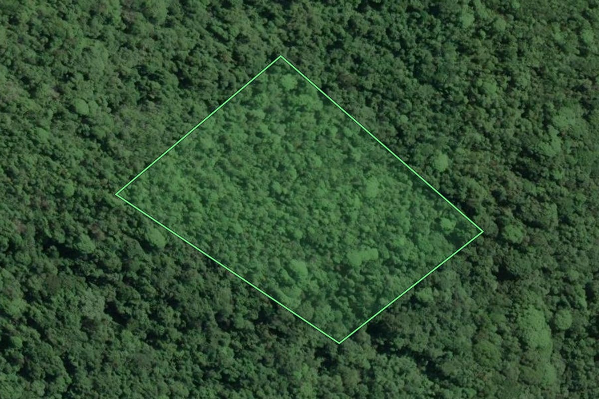 Imagem de satélite do imóvel rural em Cananéia (SP), com o contorno declarado no CAR desenhado por cima.