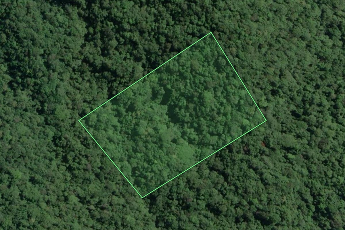 Imagem de satélite do imóvel rural em Cananéia (SP), com o contorno declarado no CAR desenhado por cima.