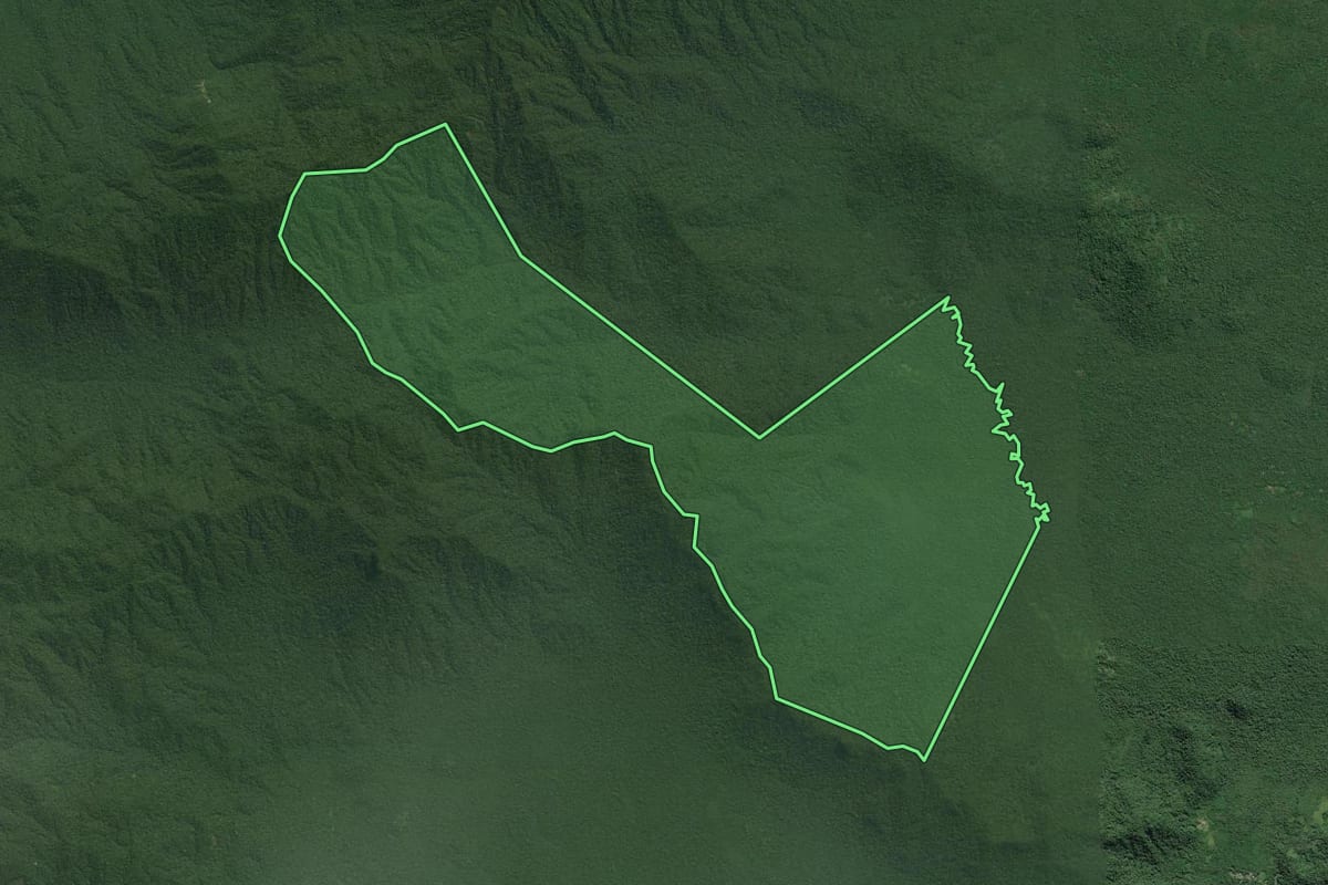 Imagem de satélite do imóvel rural em Cananéia (SP), com o contorno declarado no CAR desenhado por cima.