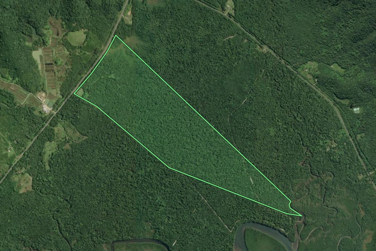 Imagem de satélite do imóvel rural em Cananéia (SP), com o contorno declarado no CAR desenhado por cima.