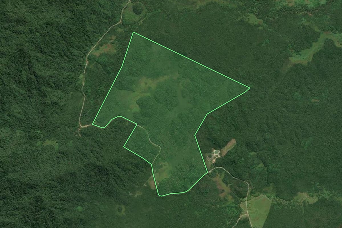 Imagem de satélite do imóvel rural em Cananéia (SP), com o contorno declarado no CAR desenhado por cima.