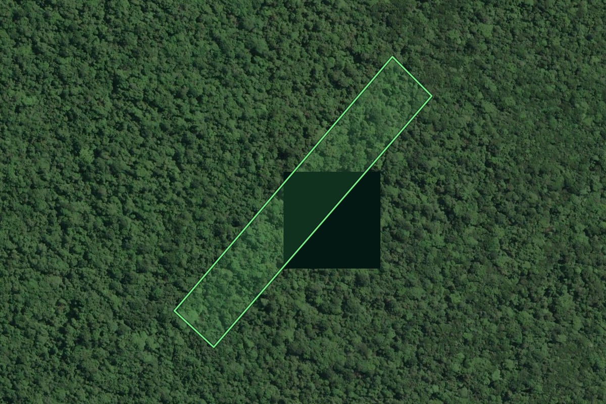 Imagem de satélite do imóvel rural em Cananéia (SP), com o contorno declarado no CAR desenhado por cima.