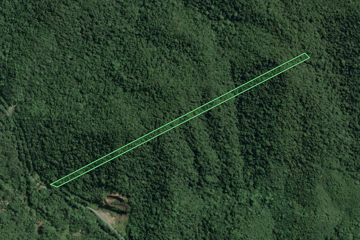 Imagem de satélite do imóvel rural em Cananéia (SP), com o contorno declarado no CAR desenhado por cima.