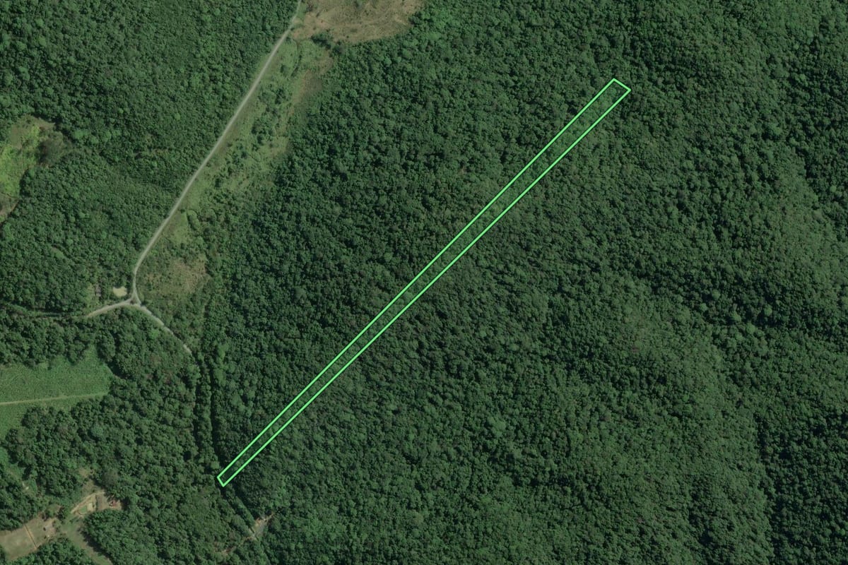 Imagem de satélite do imóvel rural em Cananéia (SP), com o contorno declarado no CAR desenhado por cima.