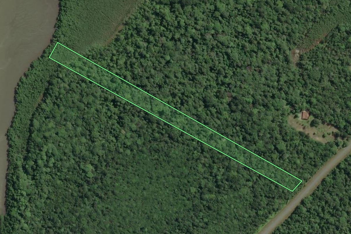 Imagem de satélite do imóvel rural em Cananéia (SP), com o contorno declarado no CAR desenhado por cima.