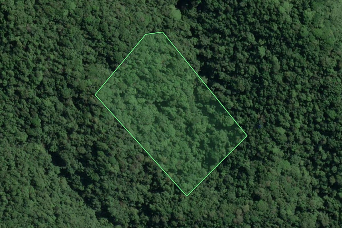 Imagem de satélite do imóvel rural em Cananéia (SP), com o contorno declarado no CAR desenhado por cima.
