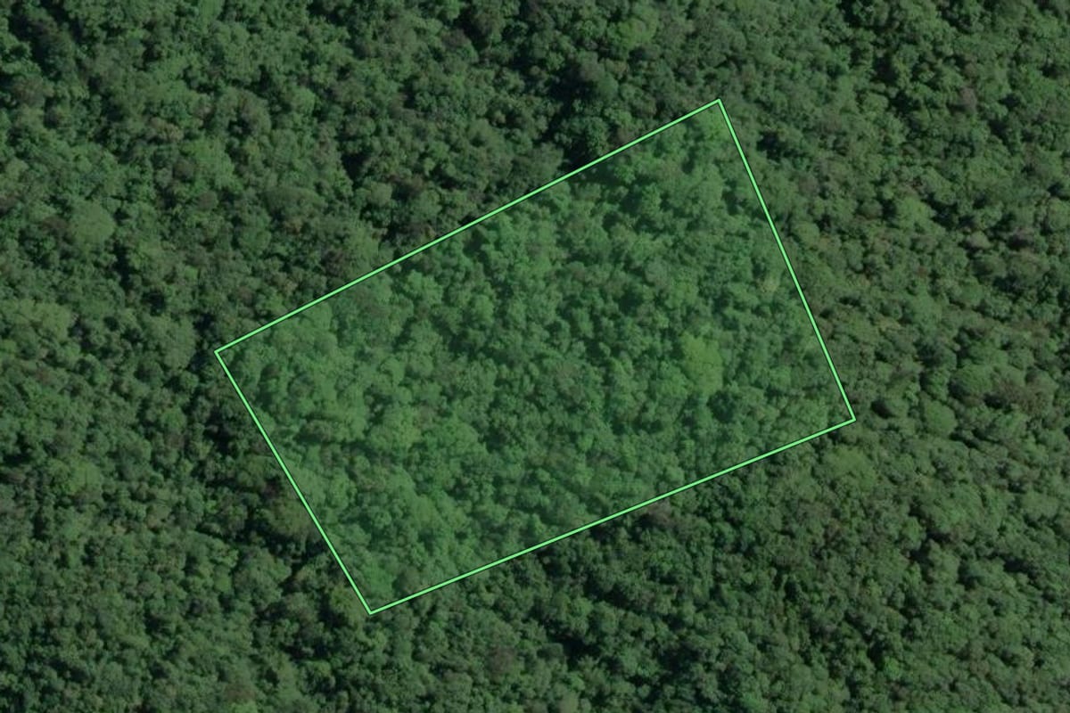 Imagem de satélite do imóvel rural em Cananéia (SP), com o contorno declarado no CAR desenhado por cima.