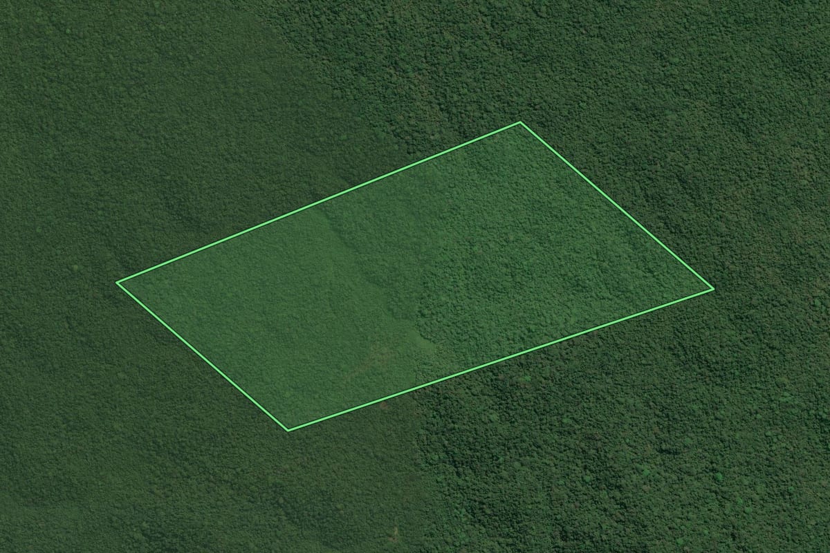 Imagem de satélite do imóvel rural em Cananéia (SP), com o contorno declarado no CAR desenhado por cima.