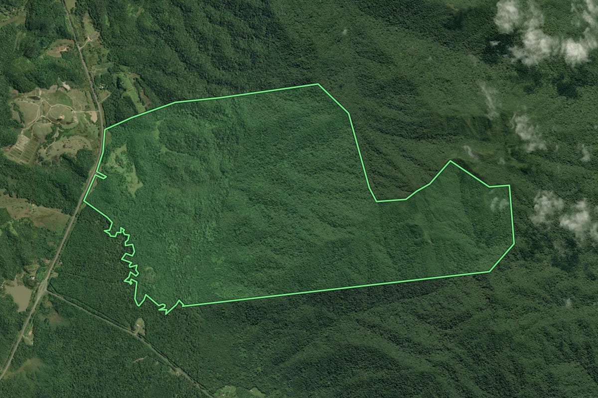 Imagem de satélite do imóvel rural em Cananéia (SP), com o contorno declarado no CAR desenhado por cima.