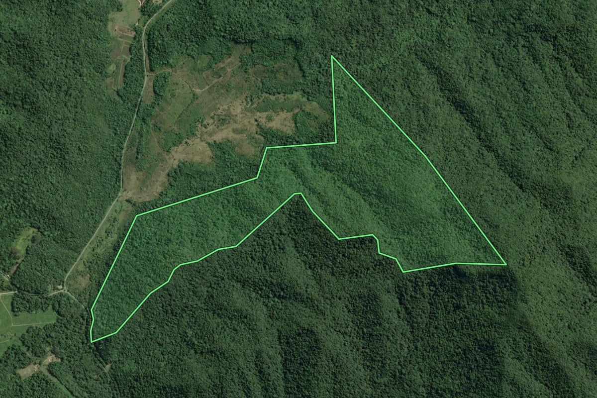 Imagem de satélite do imóvel rural em Cananéia (SP), com o contorno declarado no CAR desenhado por cima.