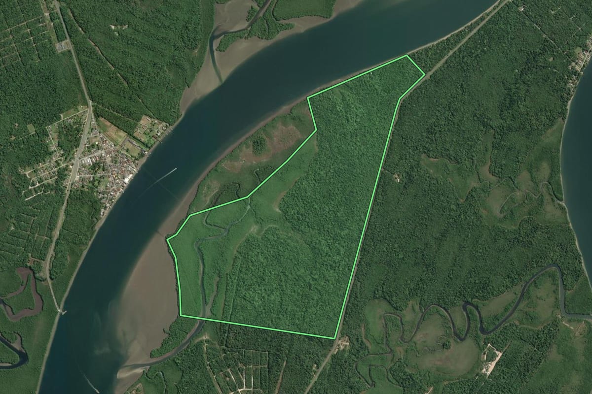 Imagem de satélite do imóvel rural em Cananéia (SP), com o contorno declarado no CAR desenhado por cima.