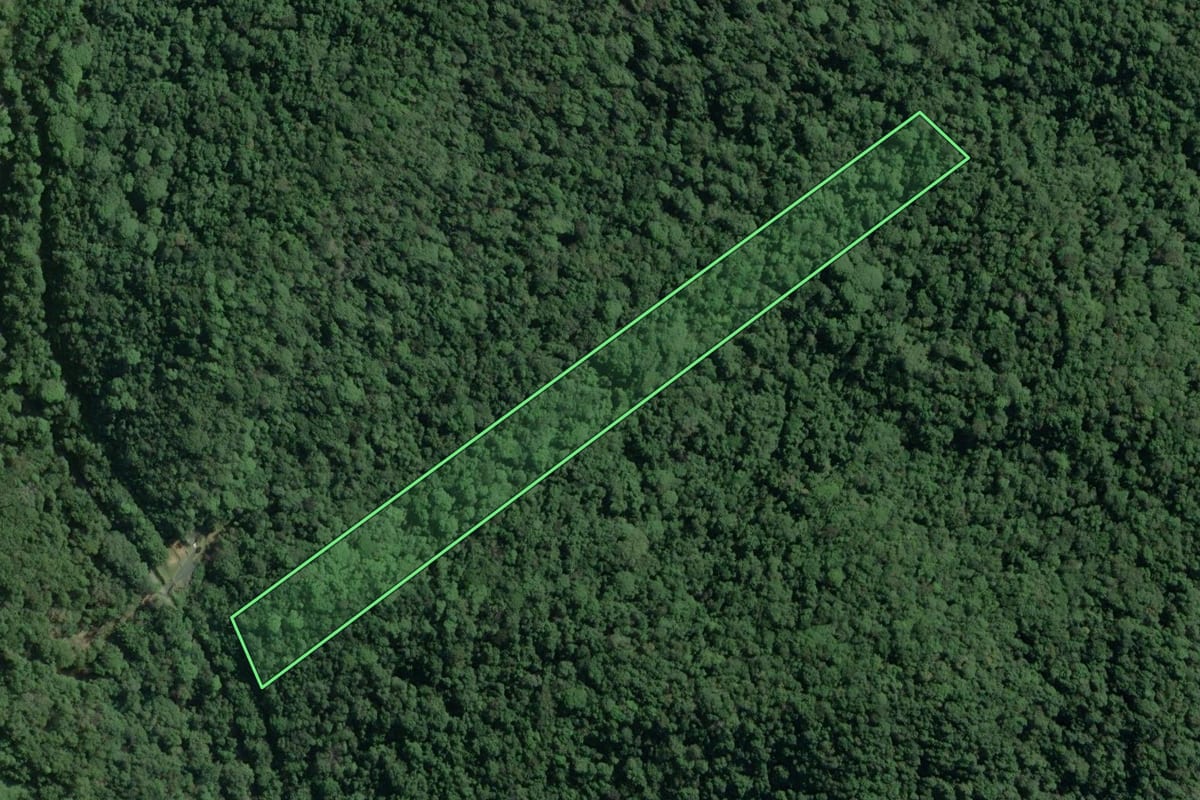 Imagem de satélite do imóvel rural em Cananéia (SP), com o contorno declarado no CAR desenhado por cima.
