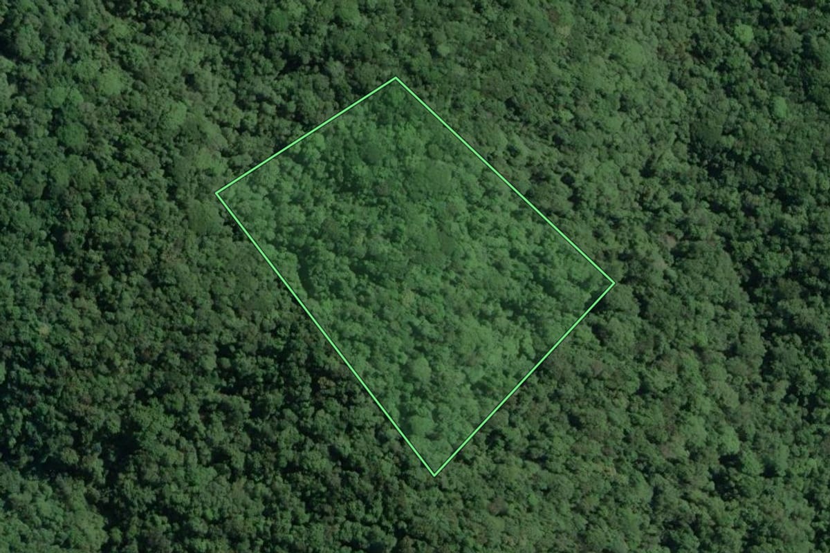 Imagem de satélite do imóvel rural em Cananéia (SP), com o contorno declarado no CAR desenhado por cima.