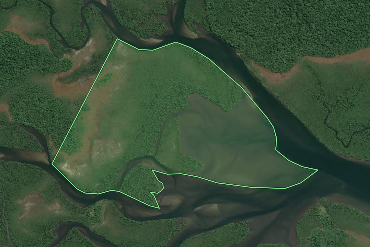 Imagem de satélite do imóvel rural em Cananéia (SP), com o contorno declarado no CAR desenhado por cima.