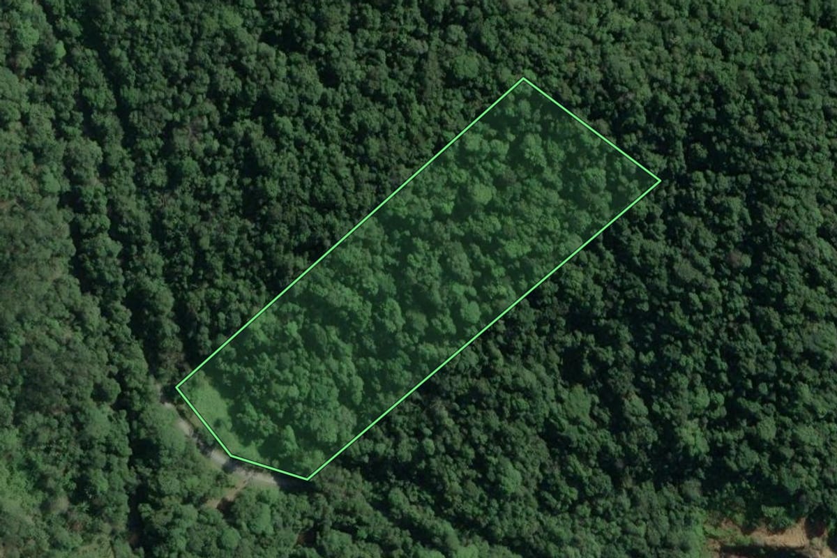 Imagem de satélite do imóvel rural em Cananéia (SP), com o contorno declarado no CAR desenhado por cima.