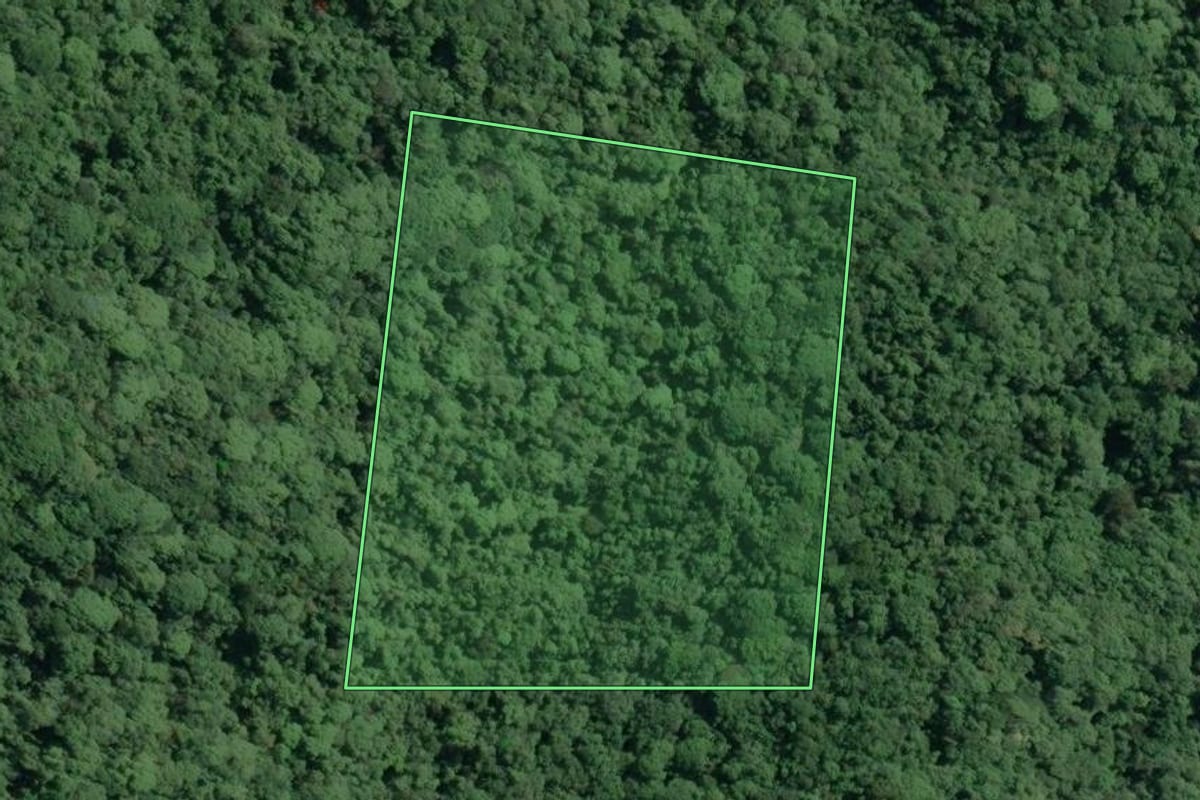 Imagem de satélite do imóvel rural em Cananéia (SP), com o contorno declarado no CAR desenhado por cima.