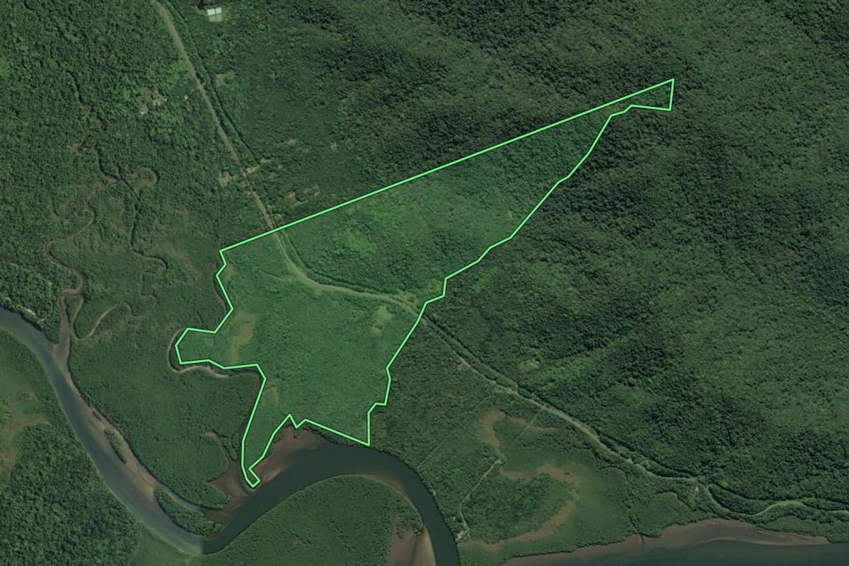 Imagem de satélite do imóvel rural em Cananéia (SP), com o contorno declarado no CAR desenhado por cima.