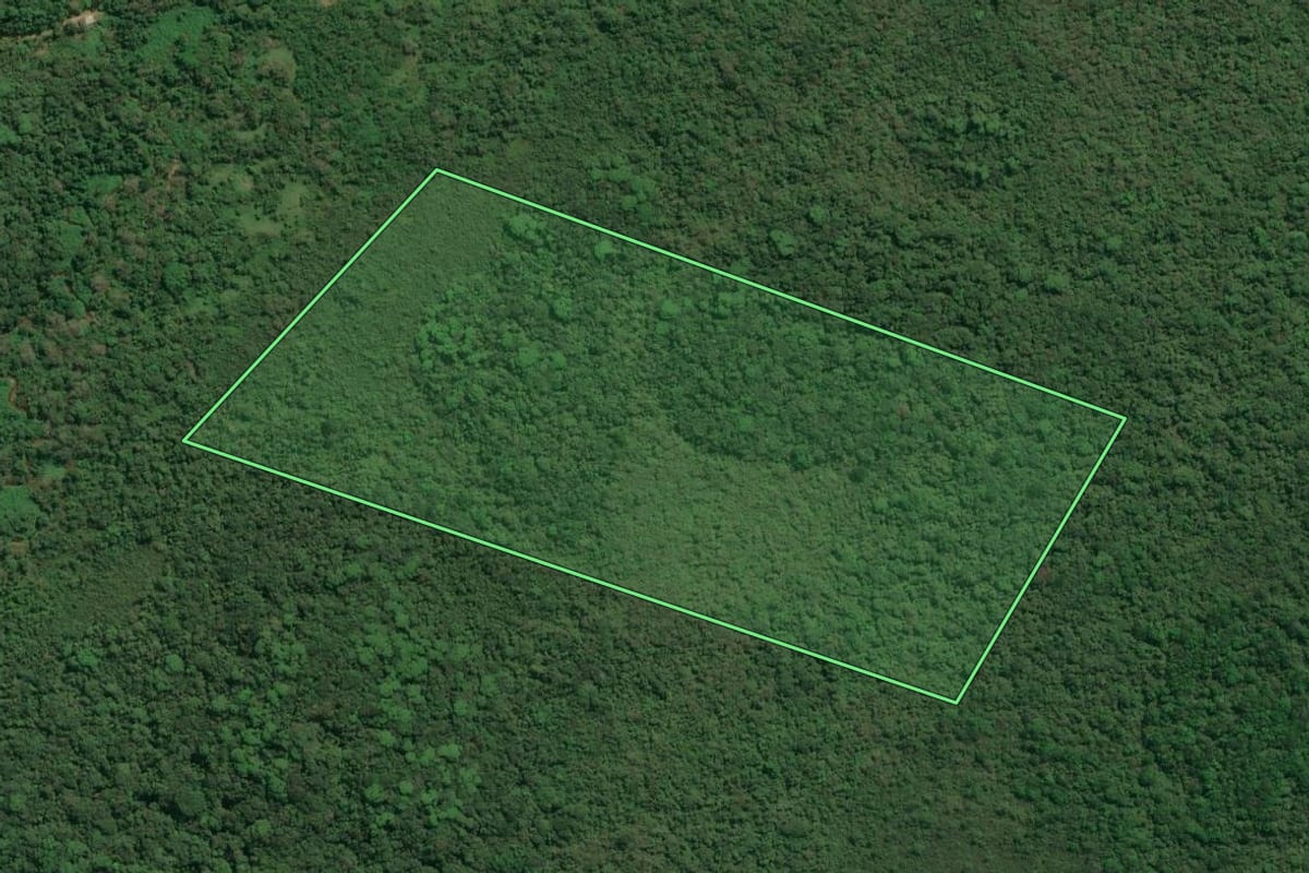 Imagem de satélite do imóvel rural em Cananéia (SP), com o contorno declarado no CAR desenhado por cima.