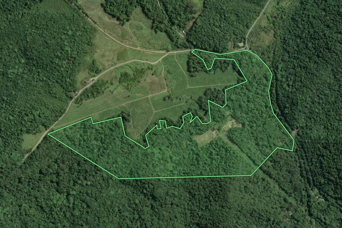 Imagem de satélite do imóvel rural em Cananéia (SP), com o contorno declarado no CAR desenhado por cima.