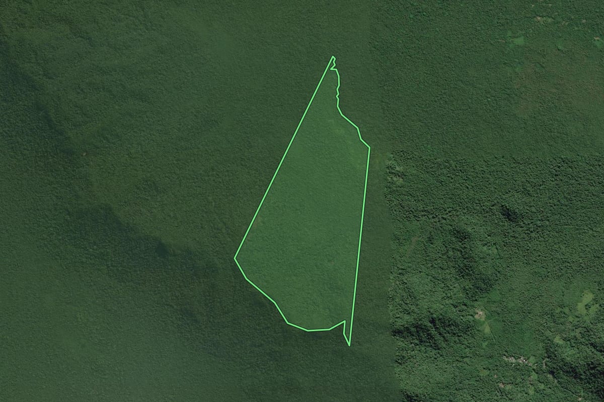 Imagem de satélite do imóvel rural em Cananéia (SP), com o contorno declarado no CAR desenhado por cima.