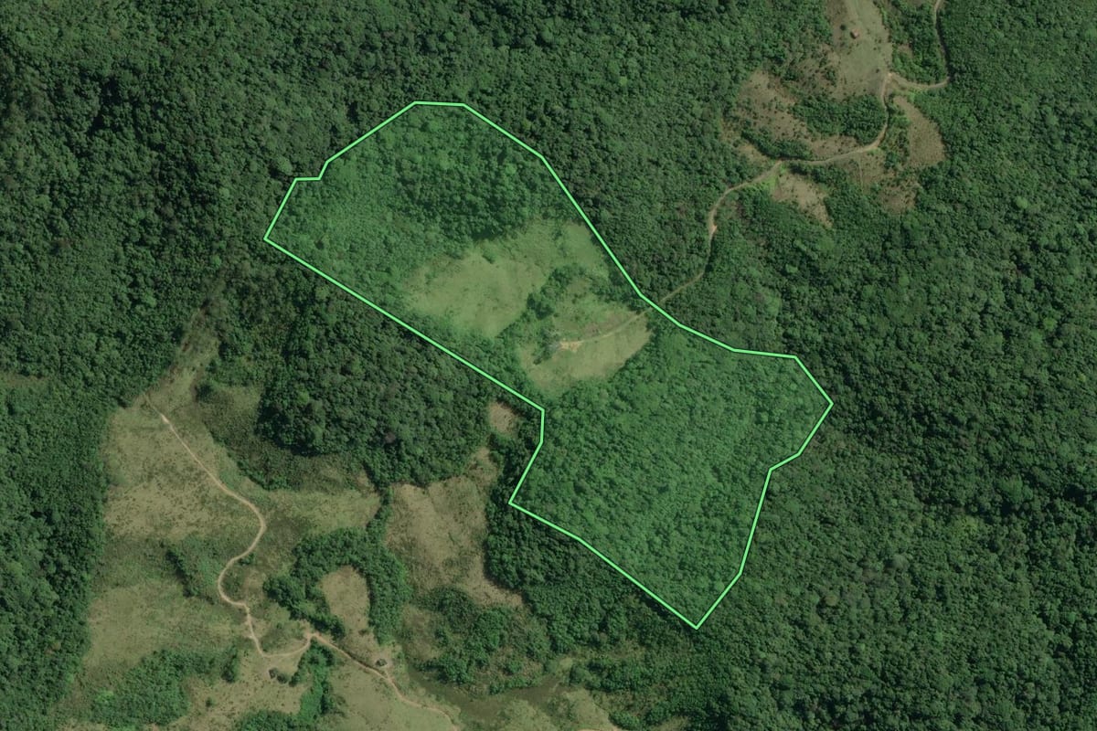 Imagem de satélite do imóvel rural em Cananéia (SP), com o contorno declarado no CAR desenhado por cima.