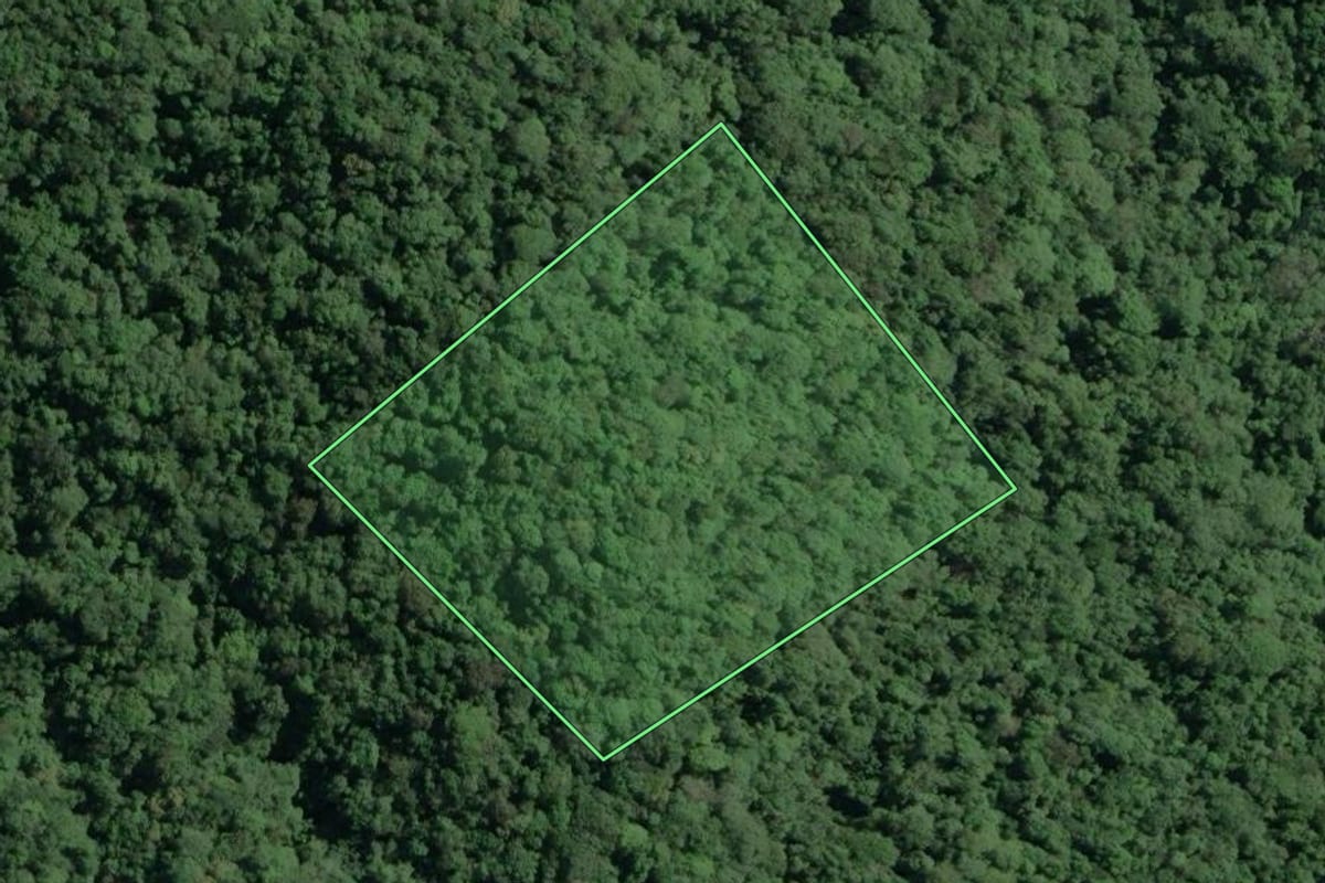 Imagem de satélite do imóvel rural em Cananéia (SP), com o contorno declarado no CAR desenhado por cima.