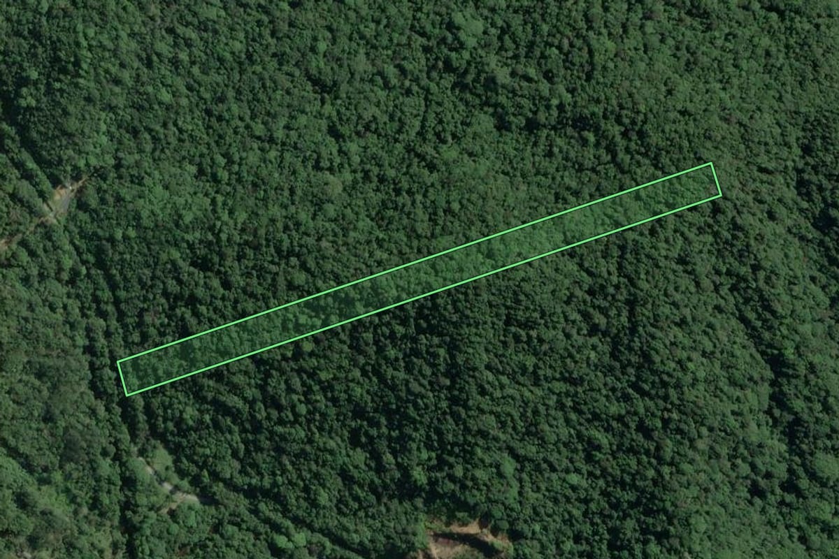 Imagem de satélite do imóvel rural em Cananéia (SP), com o contorno declarado no CAR desenhado por cima.