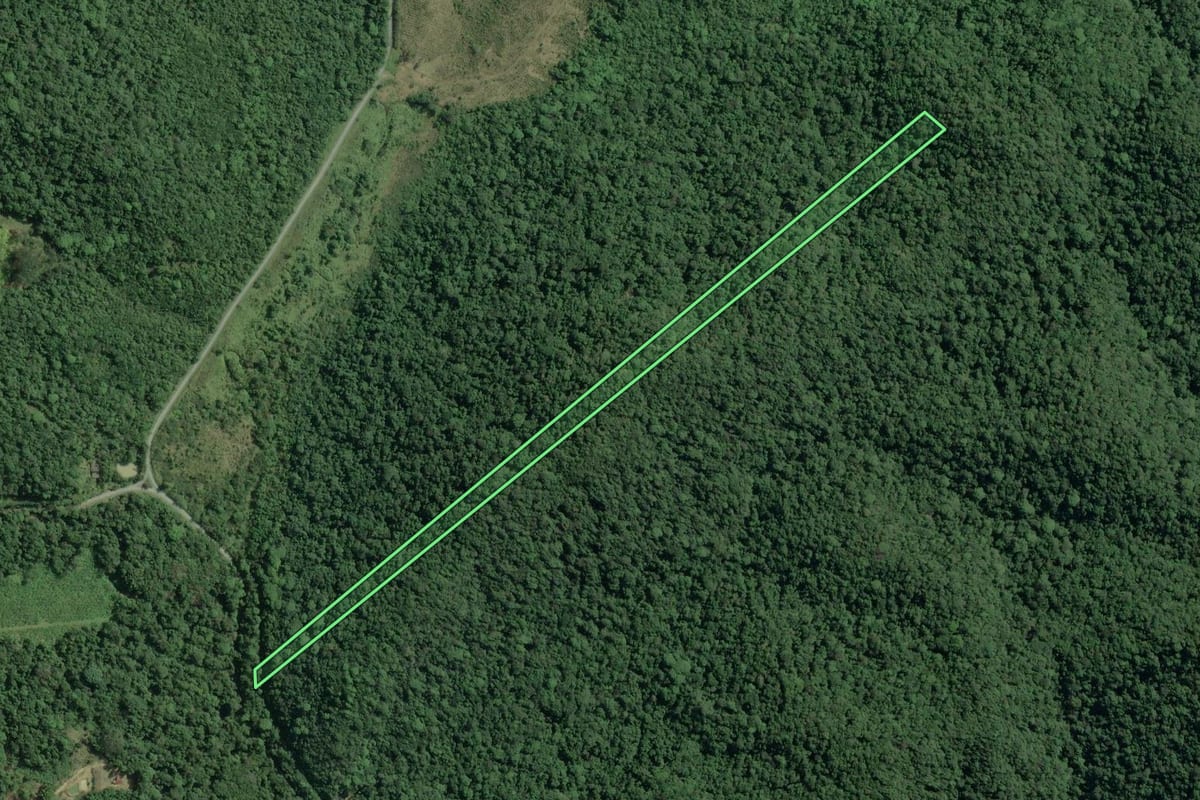 Imagem de satélite do imóvel rural em Cananéia (SP), com o contorno declarado no CAR desenhado por cima.