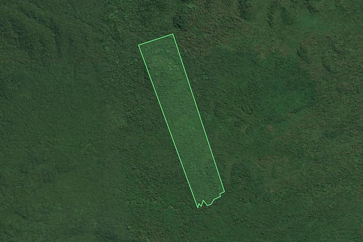 Imagem de satélite do imóvel rural em Cananéia (SP), com o contorno declarado no CAR desenhado por cima.