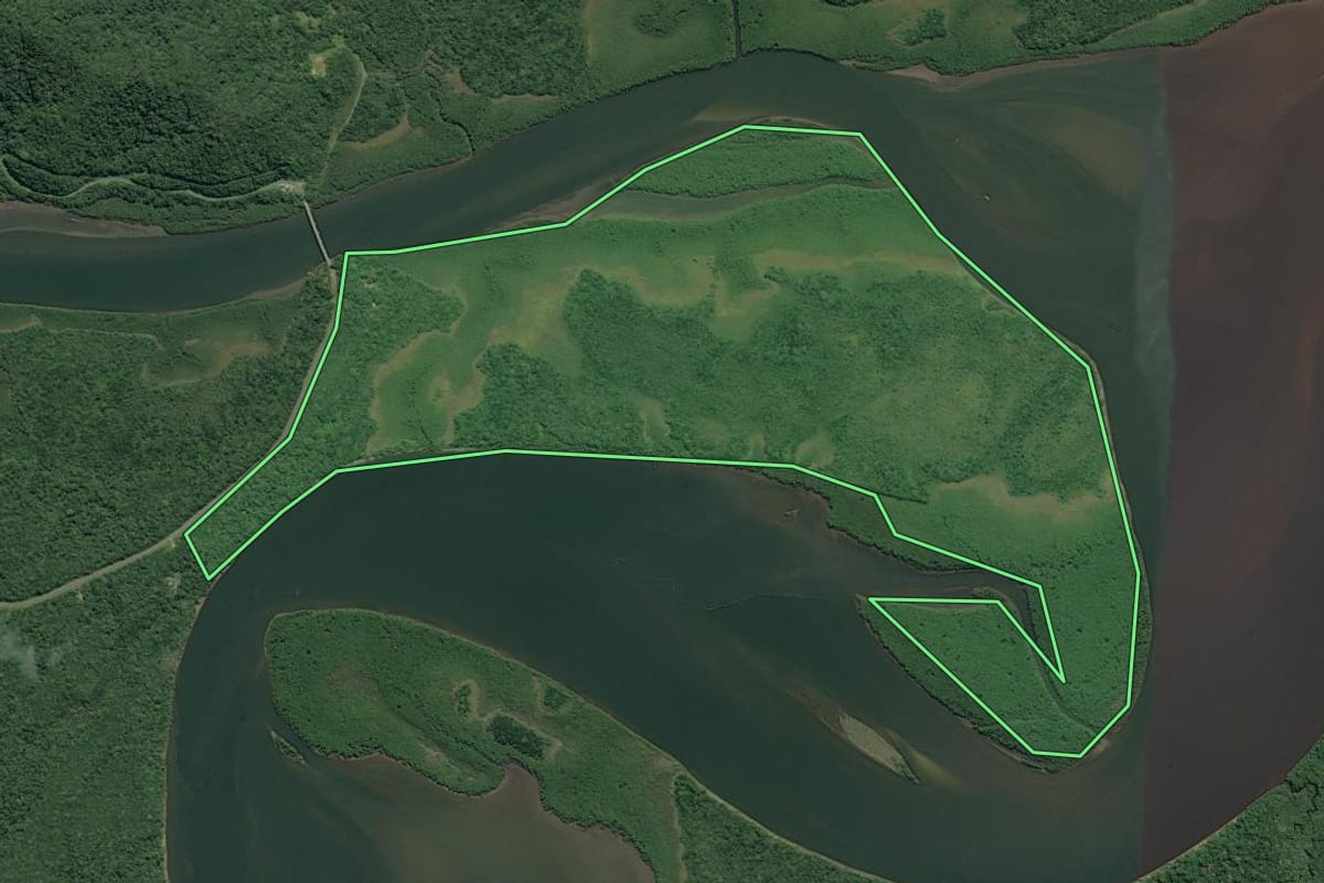 Imagem de satélite do imóvel rural em Cananéia (SP), com o contorno declarado no CAR desenhado por cima.