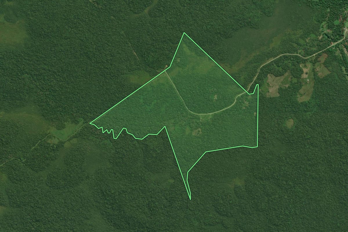Imagem de satélite do imóvel rural em Cananéia (SP), com o contorno declarado no CAR desenhado por cima.