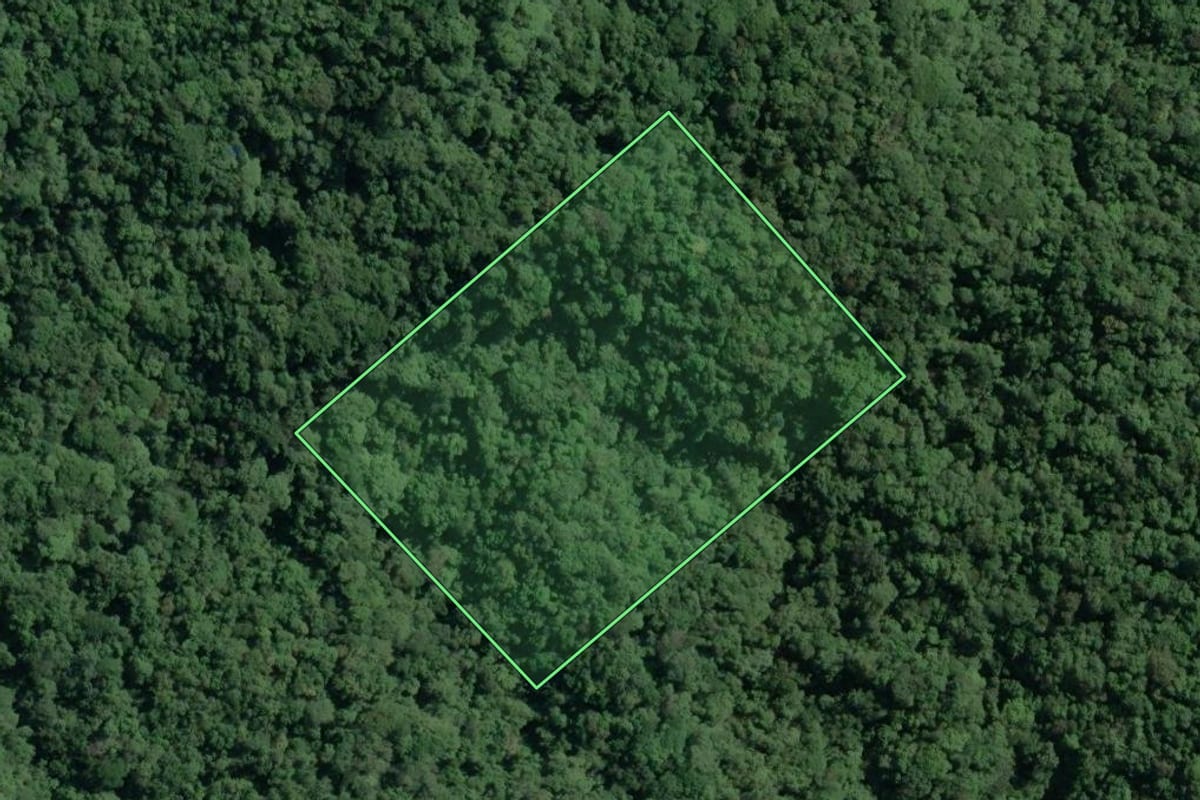 Imagem de satélite do imóvel rural em Cananéia (SP), com o contorno declarado no CAR desenhado por cima.