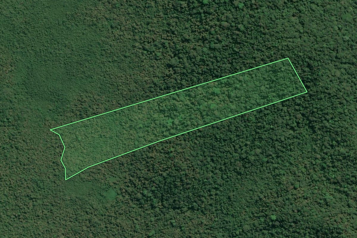 Imagem de satélite do imóvel rural em Cananéia (SP), com o contorno declarado no CAR desenhado por cima.