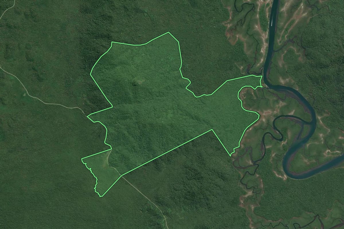 Imagem de satélite do imóvel rural em Cananéia (SP), com o contorno declarado no CAR desenhado por cima.