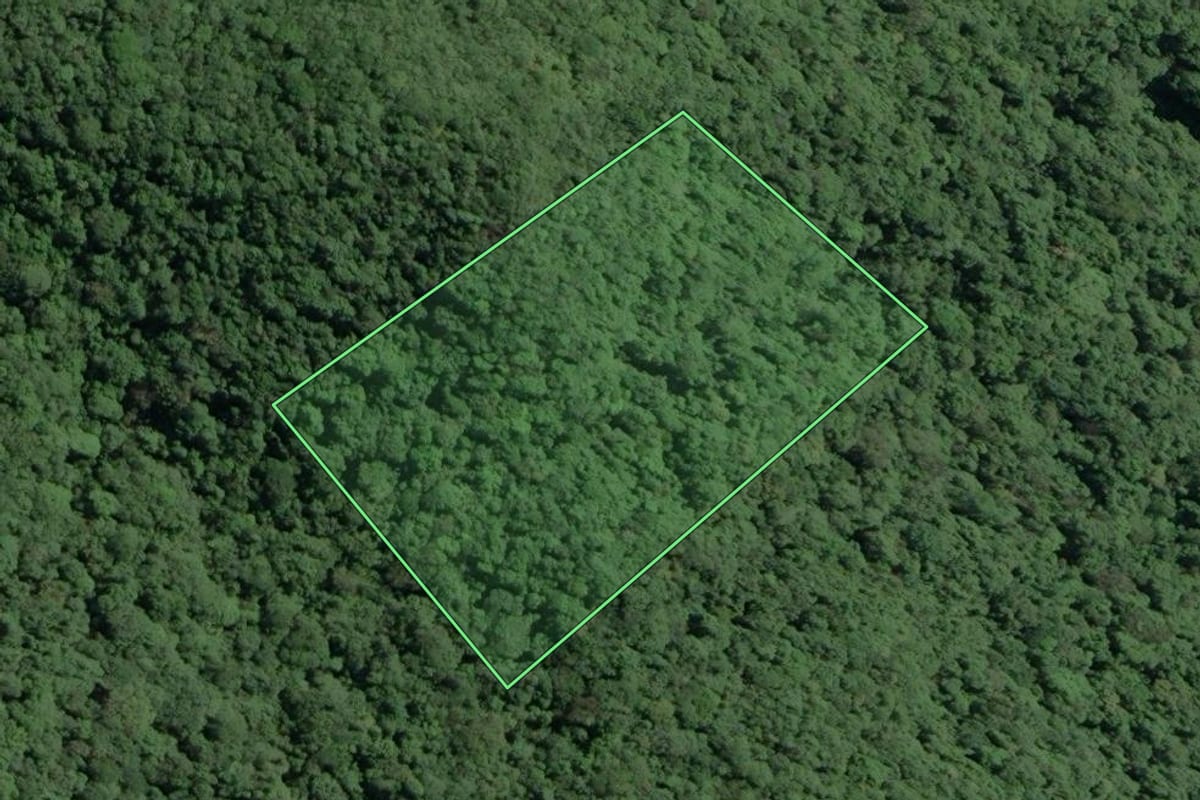 Imagem de satélite do imóvel rural em Cananéia (SP), com o contorno declarado no CAR desenhado por cima.
