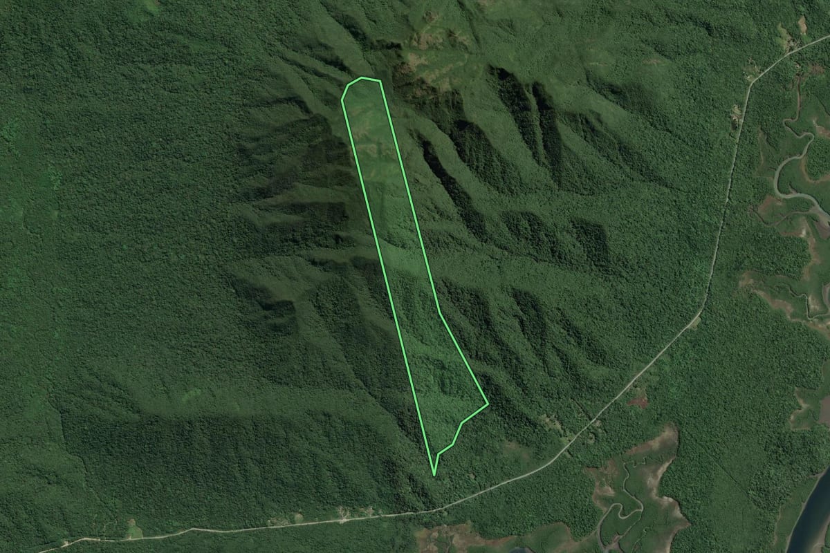 Imagem de satélite do imóvel rural em Cananéia (SP), com o contorno declarado no CAR desenhado por cima.