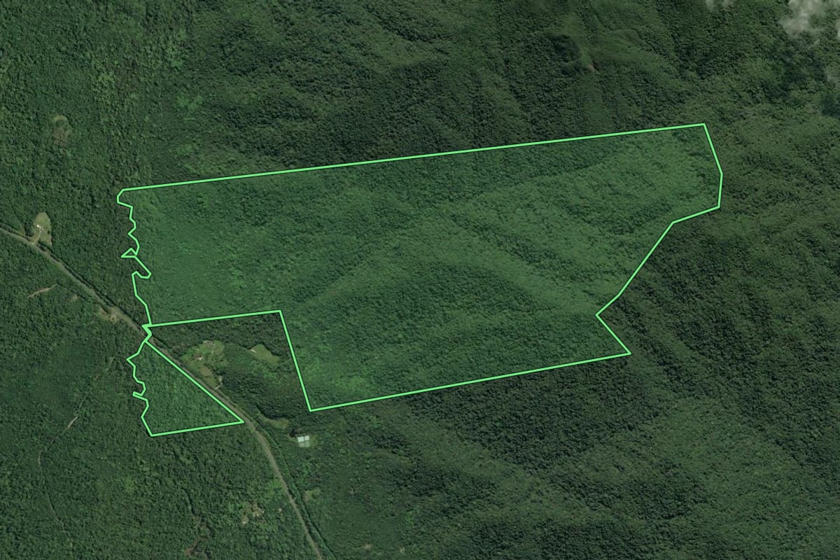 Imagem de satélite do imóvel rural em Cananéia (SP), com o contorno declarado no CAR desenhado por cima.