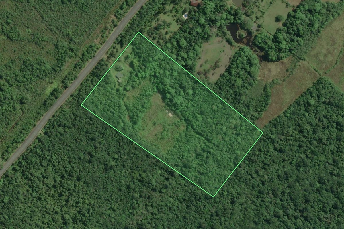 Imagem de satélite do imóvel rural em Cananéia (SP), com o contorno declarado no CAR desenhado por cima.
