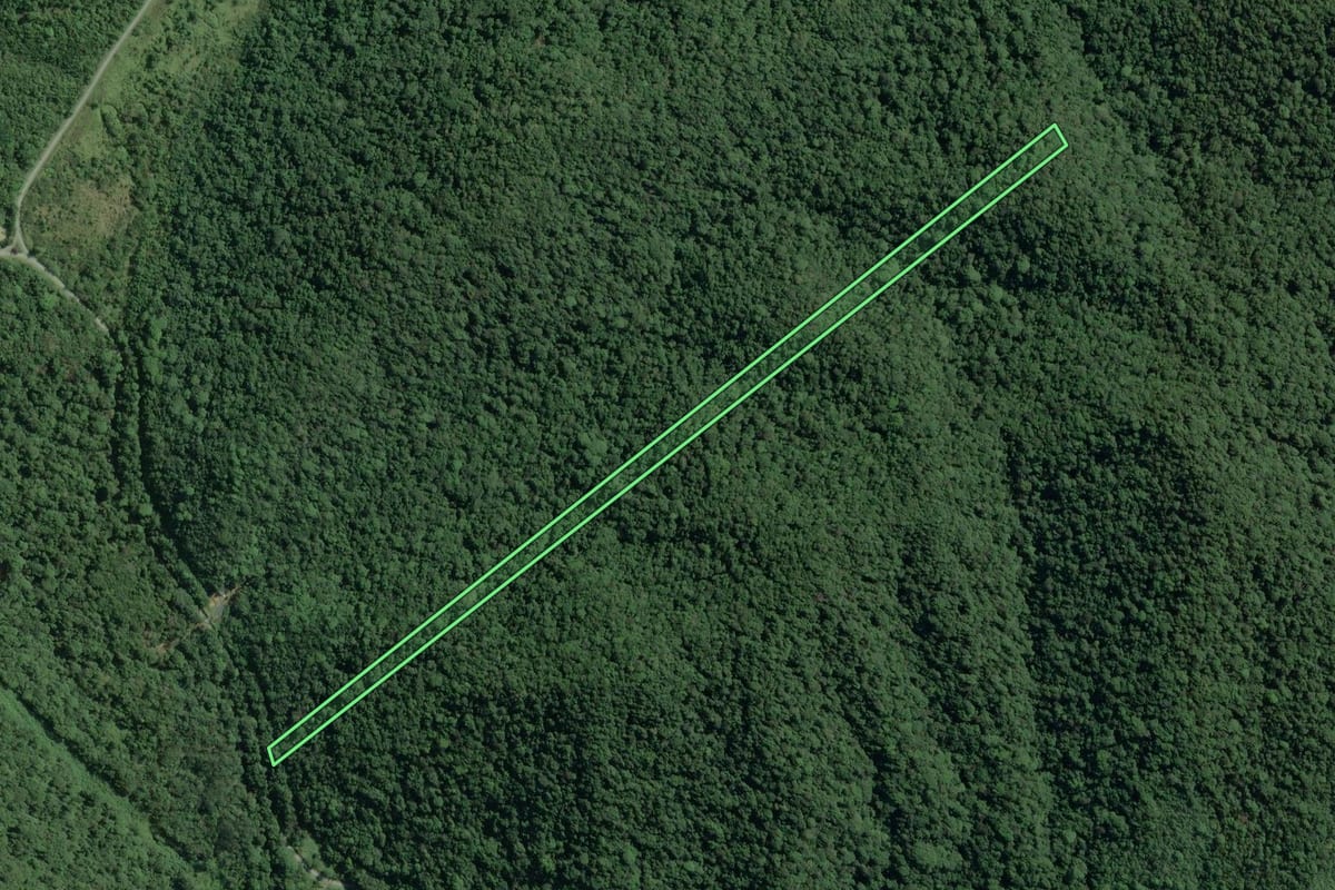 Imagem de satélite do imóvel rural em Cananéia (SP), com o contorno declarado no CAR desenhado por cima.