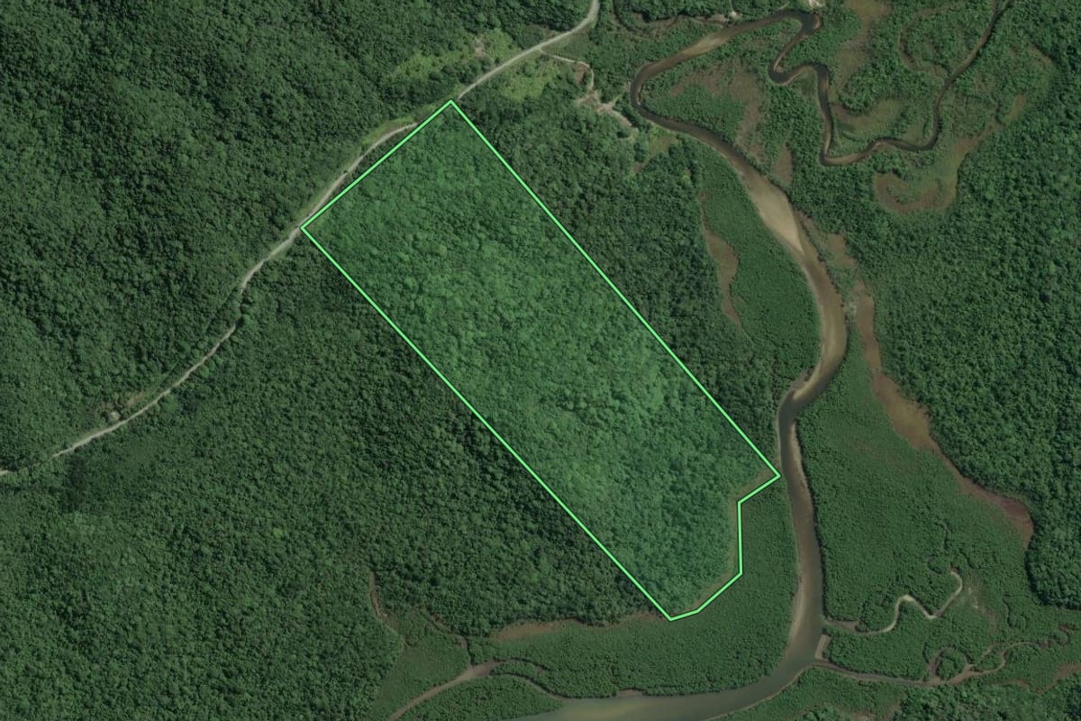 Imagem de satélite do imóvel rural em Cananéia (SP), com o contorno declarado no CAR desenhado por cima.