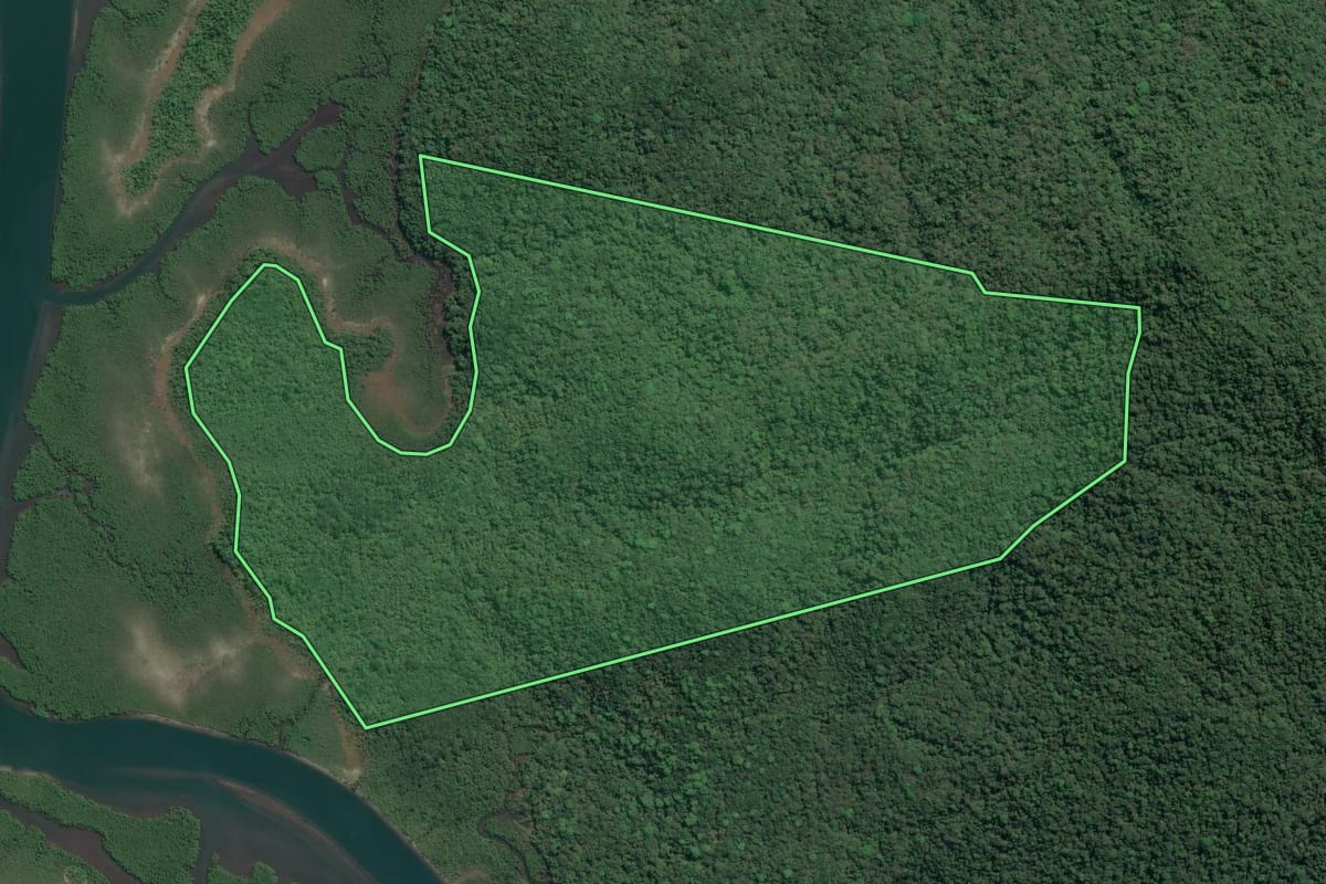 Imagem de satélite do imóvel rural em Cananéia (SP), com o contorno declarado no CAR desenhado por cima.