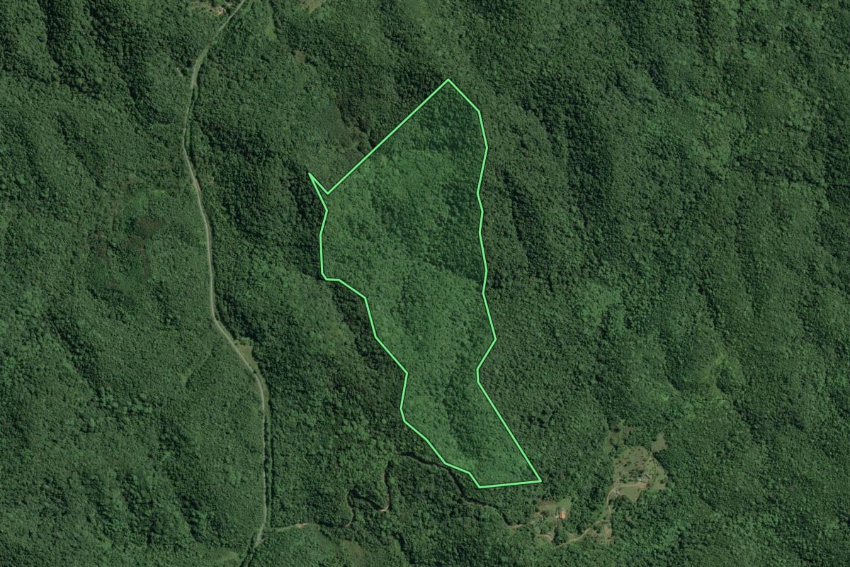 Imagem de satélite do imóvel rural em Cananéia (SP), com o contorno declarado no CAR desenhado por cima.
