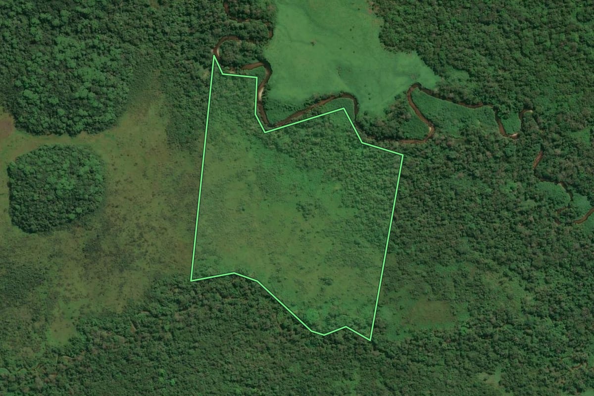 Imagem de satélite do imóvel rural em Cananéia (SP), com o contorno declarado no CAR desenhado por cima.